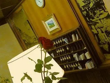 ホテル Da Verrazzano 3*